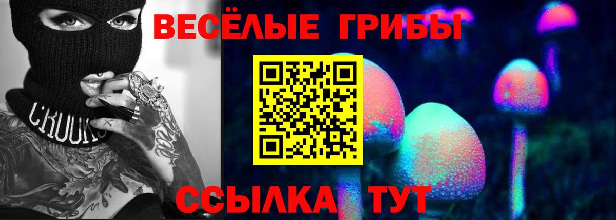Псилоцибиновые грибы GOLDEN TEACHER  Вход с VPN  Рубцовск 